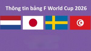 Nhận định bảng F World Cup 2026 – Nhật Bản sáng cửa đi tiếp