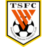 Shandong Taishan
